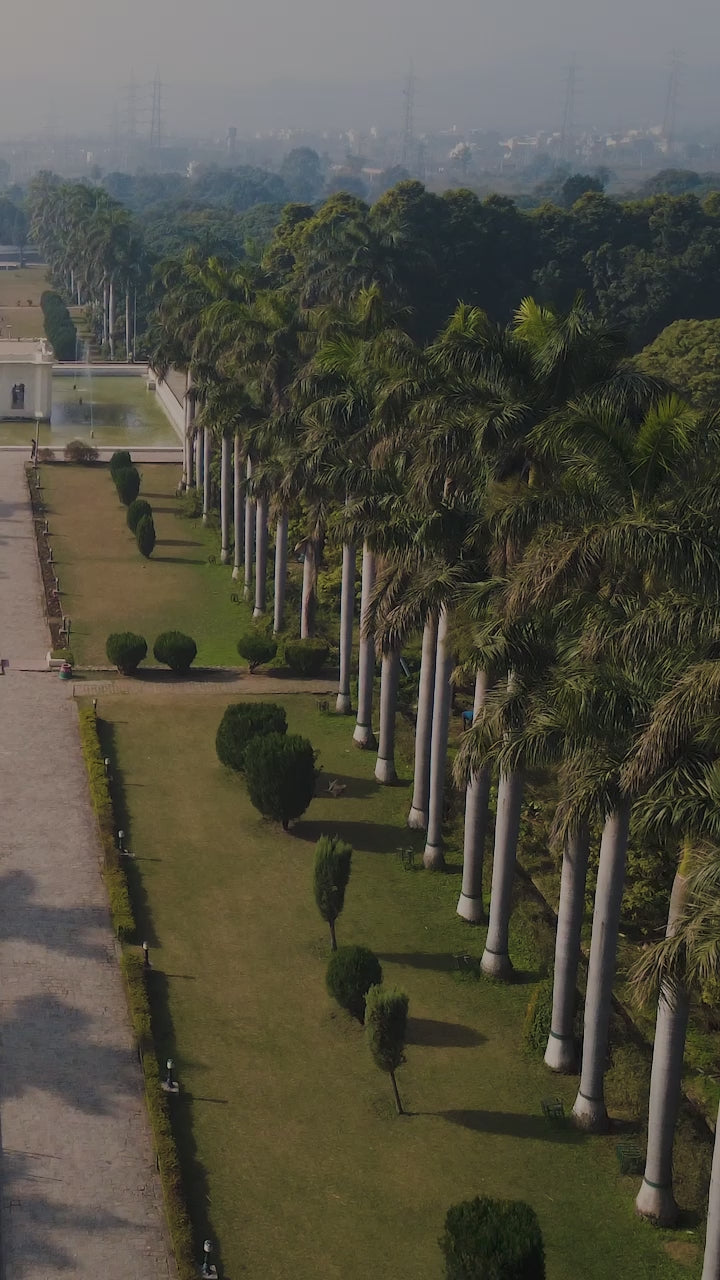 The Darkridge Sherling